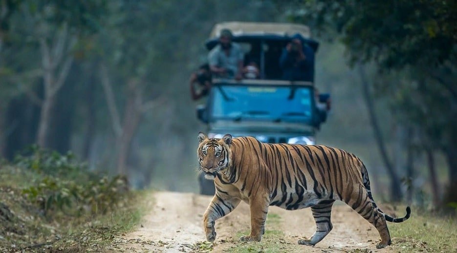 Ultimate South India Itinerary for 2025: 1-3 Weeks in Southern India Travel Guide