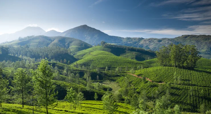 Journey Through the South 14 days / 13 Nights